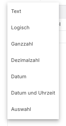 Menü der Schaltfläche Neu mit den sieben Eigenschaftstypen