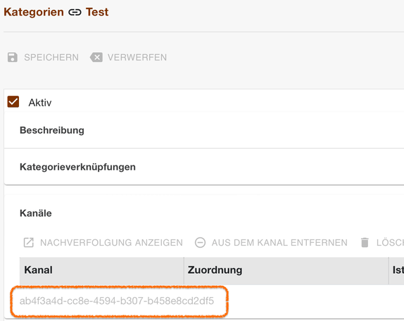 Bereich Kanäle einer Kategorie mit der hervorgehobenen Id unter der Tabelle