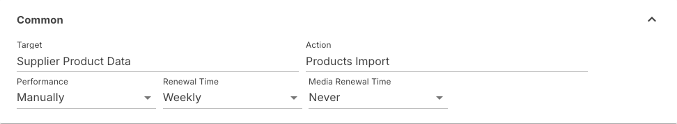Common section of a task with target, action, performance and the two renewal times